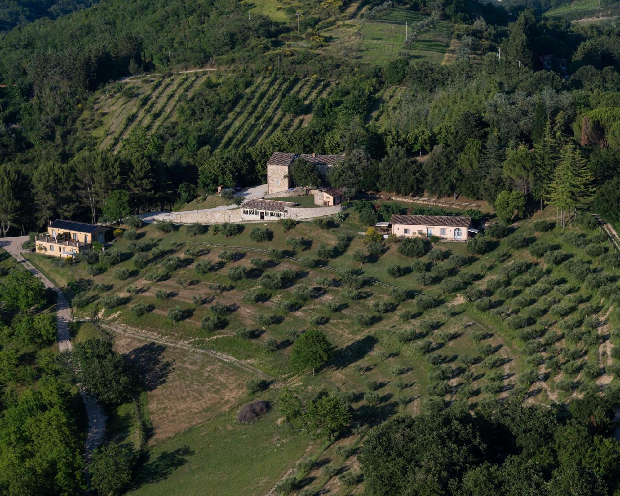 Agriturismo La Fonte Perugia Eksteriør bilde